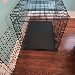 Large Dog Kennel