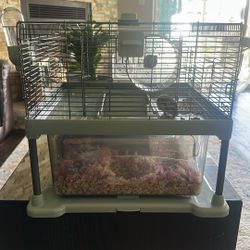 Hamster Cage & Hamster 