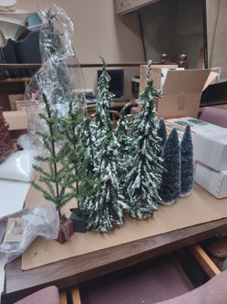 Christmas Trees Assorted Kinds