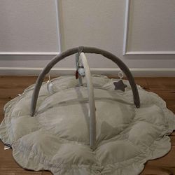 Baby Gym