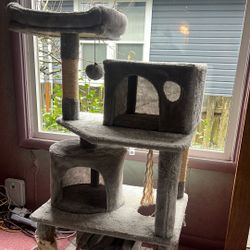 Cat Tree