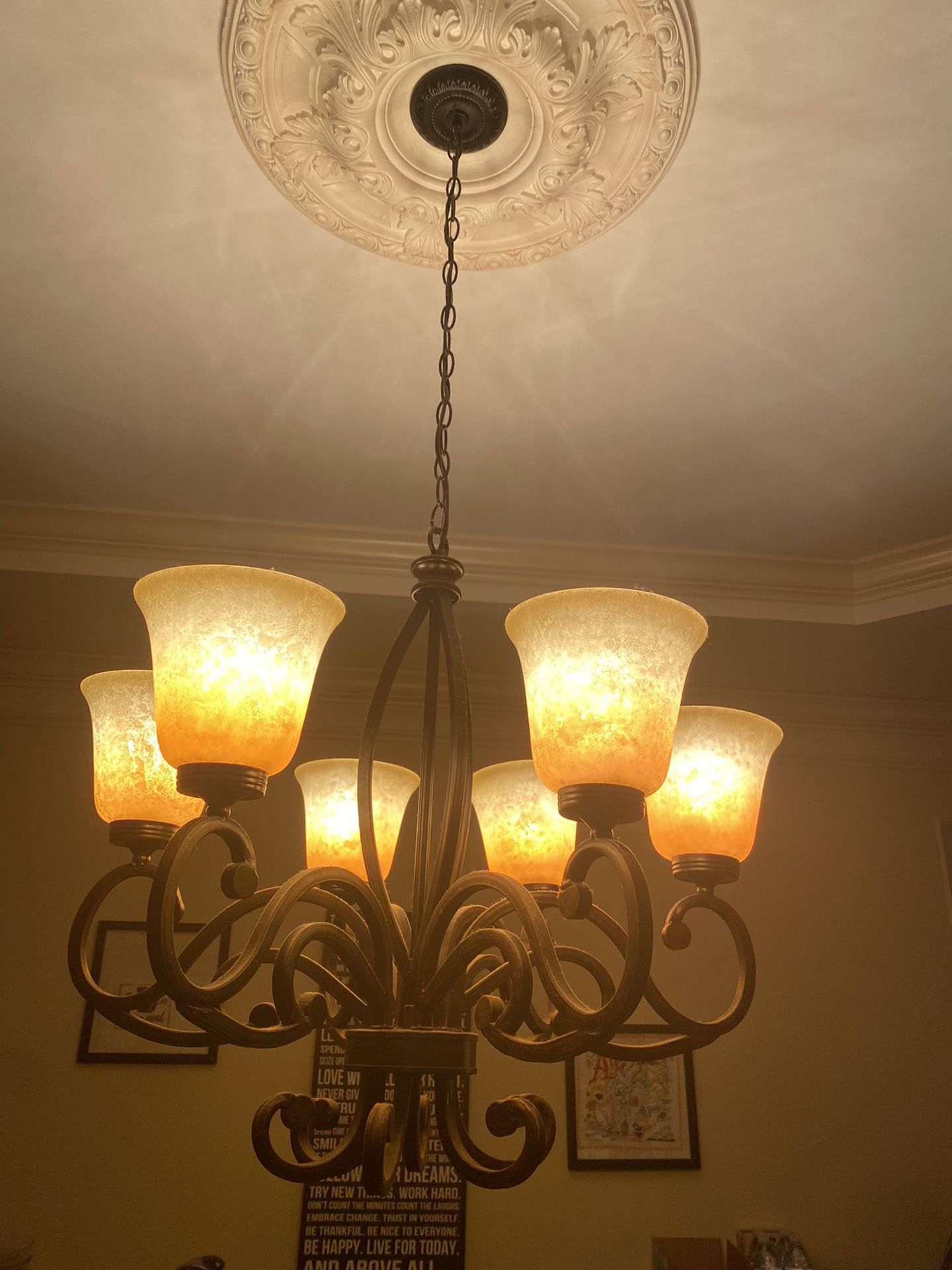 Dinning Room Light Fixture/chandelier