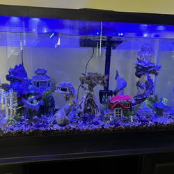 30 Gallon Fish Tank with decorations