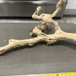 Reptile Log Bleached Grapevine New From Pet Store