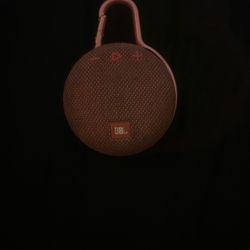Jbl Clip Speaker 