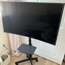 Samsung 48” Curved TV with Stand On Wheels 