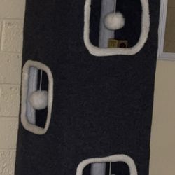 Cat House
