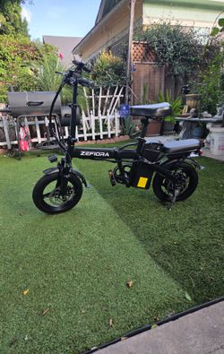 Electric bike