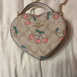 Original Coach Bag