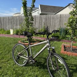 Grey Mountain Bike/Bicycle 
