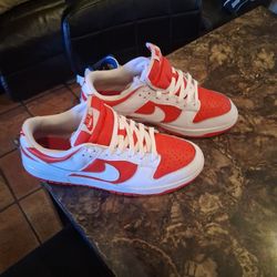 Nike Dunk's  10.5 Man 