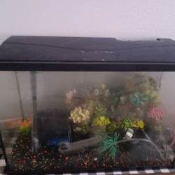 30 Gallon Fish Aquarium $100 OBO 