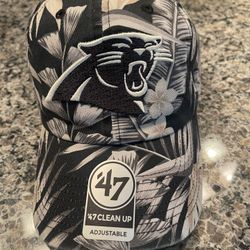 Panthers Adjustable Mens Hat