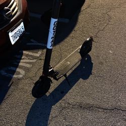 Gotrax Scooter