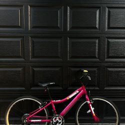 Diamondback Clarity Hybrid Kids Bike 24”