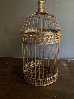 Bird Cage