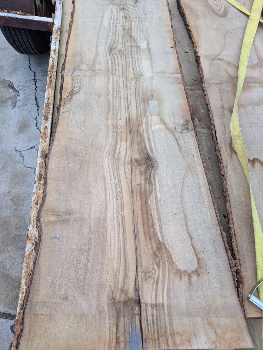 Live Edge Wood Slabs