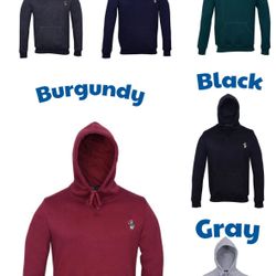 Polo Ralph Lauren Bear Hoodie Different Colors And Sizes 