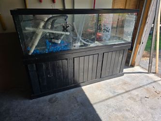 125 gal saltwater tank and stand