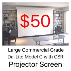 10 Foot Projector Screens - $50 Each