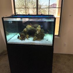 Custom cube aquarium 