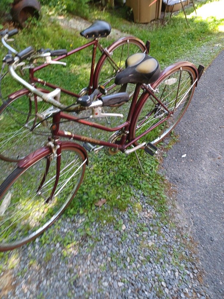 ADULT BICYCLES