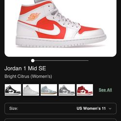 Jordan 1 Mid SE Used 