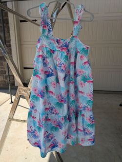 Girls Gymboree Dress