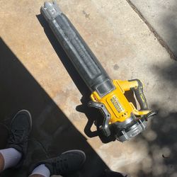 DeWalt XR 20v Brushless Blower
