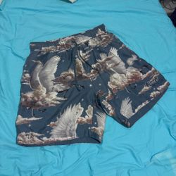 Silk Amiri Shorts