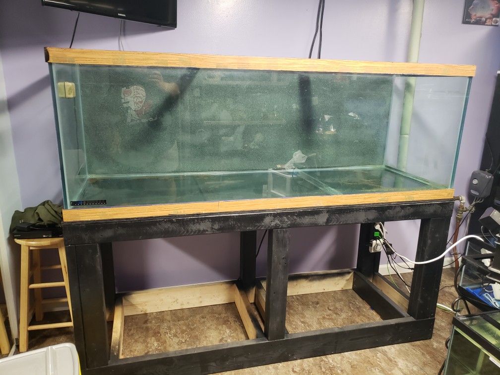 All Glass Aquarium Fish Tank