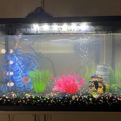 10 Gallon Fish Tank Everything Included 