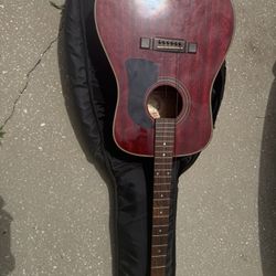 Washburn Heritage Series D-10M