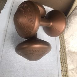 13 Ib Hand Weights (dumbbells 