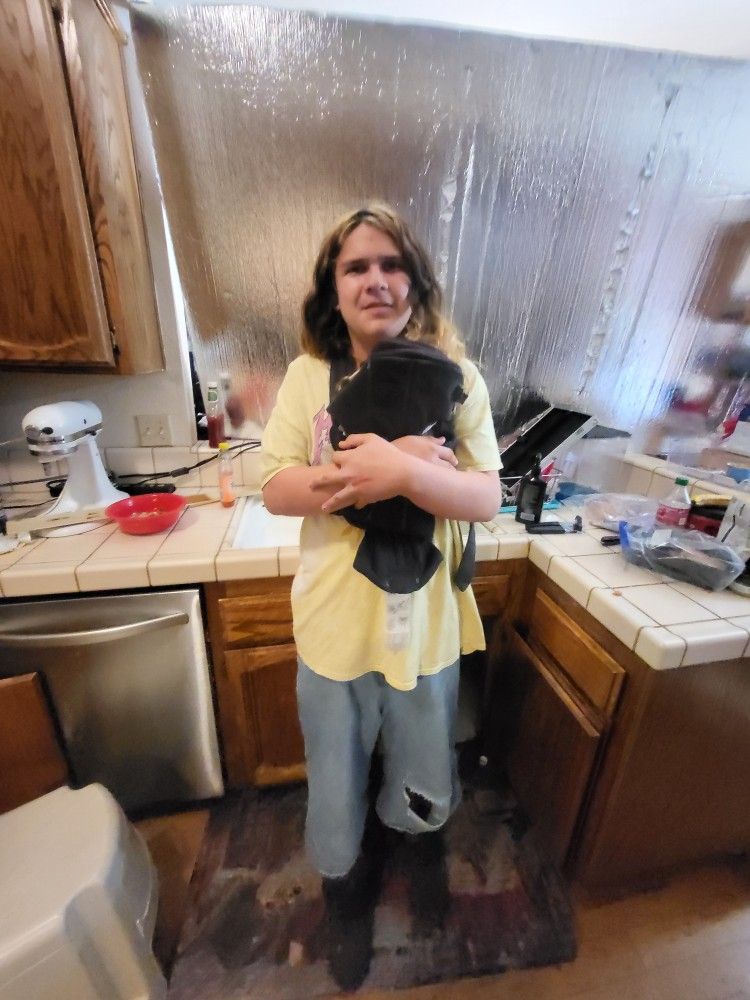 Baby Bjorn Baby Carrier 