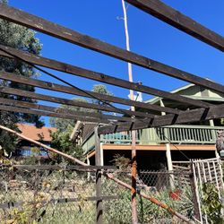 Fishing Rod From Blue Agave Cactus Strong And Light 15 Ft Long