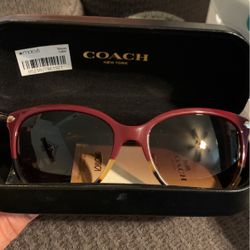 Coach Sunglasses 