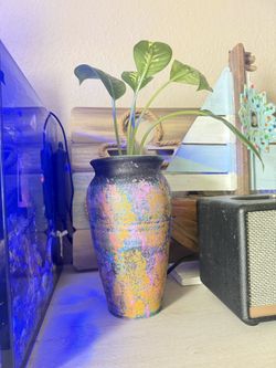 Indoor Plant With Vase
