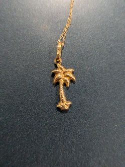 10kt Palm and chain