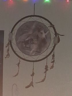 Large Dream Catcher with Horse Print