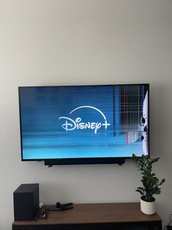 Insignia 65’ 4K TV