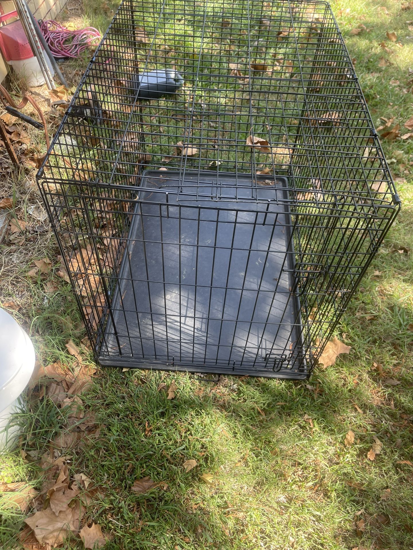 Dog Crate