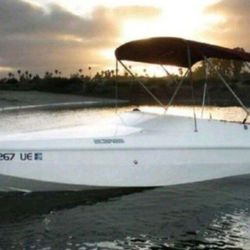 1993 Wellcraft Scarab Sprint 19' Sterndrive Mercruiser
