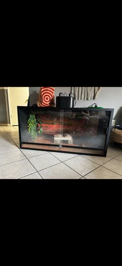 Tank bearded dragon
