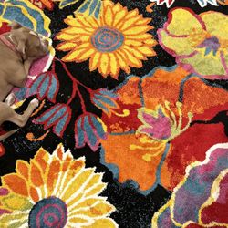 Area Rug 8 X 10