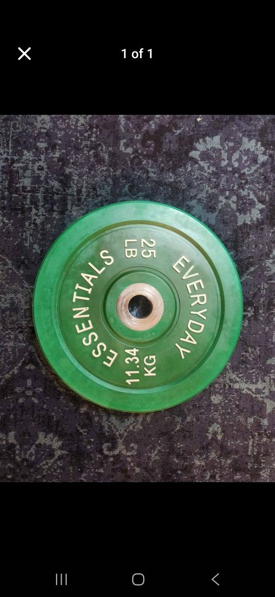 25 lb weight plate gym exercise