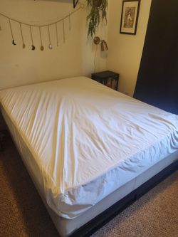 Queen Matress and Boxspring