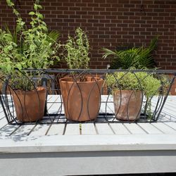 Window Box
