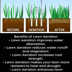 Lawn Aeration
