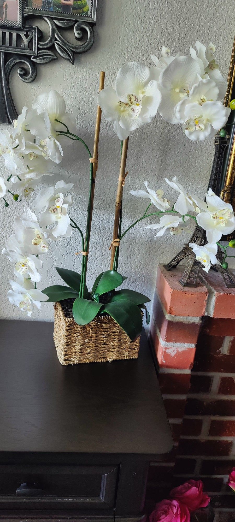 Gorgeous Orchid